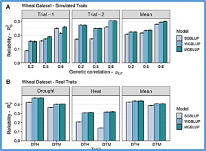Assessment of genomic prediction reliability and optimization of experimental designs in multi-environment trials