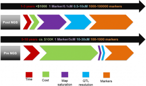 Fine mapping and gene cloning in the post-NGS era: advances and prospects
