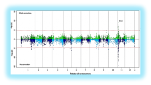 Distribution of P1(D1) wart disease resistance in potato germplasm and GWAS identification of haplotype-specific SNP markers