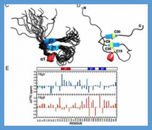 Antifungal symbiotic peptide NCR044 exhibits unique structure and multifaceted mechanisms of action that confer plant protection