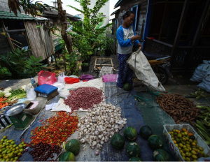 FEATURE: A new vista emerging: local, diverse food chains