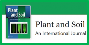Zinc biofortification strategies for wheat grown on calcareous Vertisols in southern Spain: application method and rate