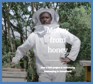Money from honey