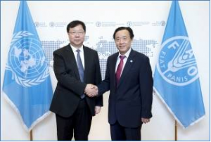 FAO Director-General meets China&rsquo;s Vice Minister of Natural Resources
