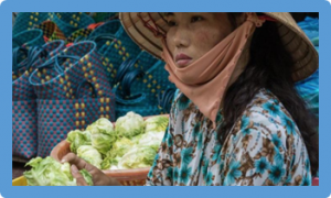 Sustainability of food systems: Five steps beyond the EAT-Lancet report