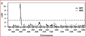 Identification and QTL mapping of resistance to Turnip yellows virus (TuYV) in oilseed rape, Brassica napus