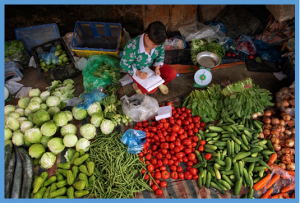 Stop waiting to get back to normal: We need to build back better &ndash; and this starts with transforming food systems