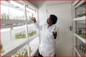 Embracing change: CGIAR issues response to MOPAN assessment