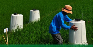 Study explores measures to reduce Vietnam`s emissions