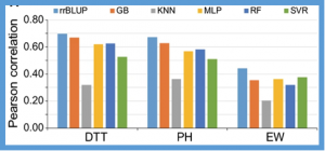 Genome optimization for improvement of maize breeding