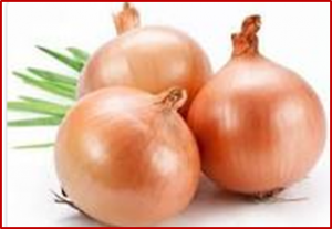 Assembly and characterisation of a unique onion diversity set identifies resistance to Fusarium basal rot and improved seedling vigour