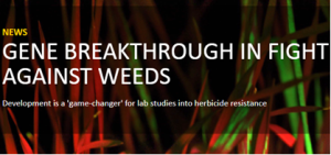 Rothamsted Research Makes Breakthrough in Fight Against Weeds