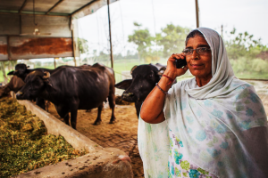 What do we know about the future of agrifood systems in South Asia?