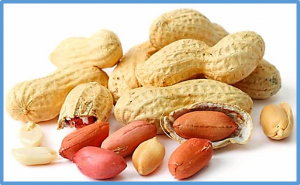 Detection of a major QTL and development of KASP markers for seed weight by combining QTL-seq, QTL-mapping and RNA-seq in peanut