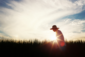 CRISPR-Cas9-mediated Approach Improves Photosynthesis in Rice