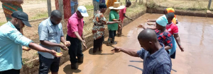 Enriching seed systems: IRRI-Africa collaborates with partners to enhance rice seed production in Tanzania