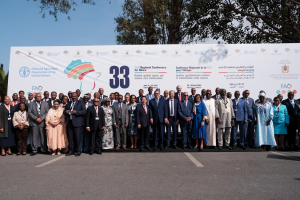 Driving efficiency and productivity in Africa`s agriculture sectors requires strategic partnerships, greater investments, and the power of digital technologies