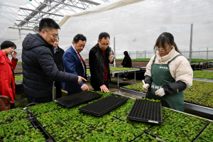 FAO Director-General visits China, reaffirming the importance of partnerships on Science and Innovation
