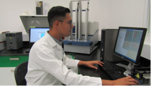 A fresh look at the genes behind grain weight in spring bread wheat