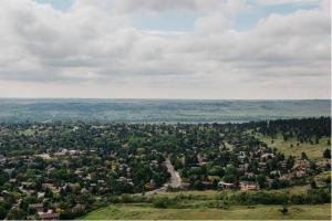 Trees in the city &ndash; plaudits for sustainable urban forestry trailblazers