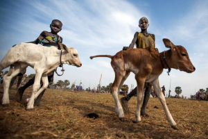 World Day Against Child Labour 2020: preventing child labour in agriculture during COVID-19 and beyond