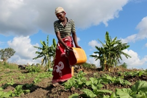 FAO committed to supporting countries to address water-related challenges