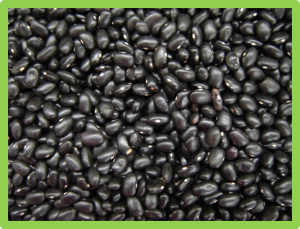 QTL mapping of post-processing color retention in two black bean populations