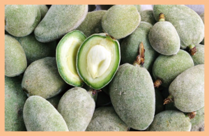 Genome Reveals How Almonds Went From Deadly to Delicious