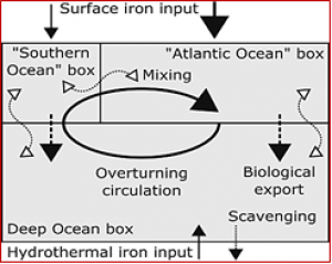 Microbial feedbacks optimize ocean iron availability