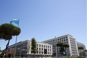 FAO prioritizes staff wellbeing in the fight to contain COVID-19