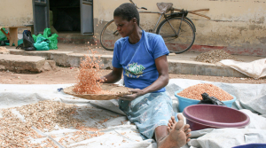 Taking legumes from Science of Discovery to Science of Delivery