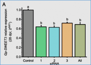 Diet-regulated transcriptional plasticity of plant parasites in plant&ndash;mutualist environments