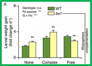 Soil chemistry determines whether defensive plant secondary metabolites promote or suppress herbivore growth
