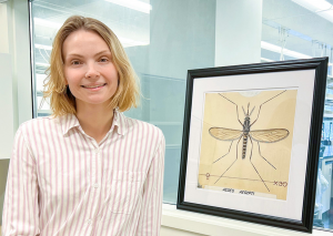 CRISPR-based Tool to Help Tackle Deadly Mosquito-borne Diseases
