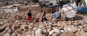 T&uuml;rkiye earthquakes: initial assessment indicates losses of more than 20 percent in food production