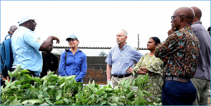 More donor support to strengthen IITA`s work on bio-stimulants