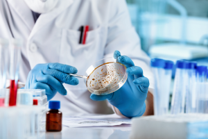 Lead-Resistant Bacteria Helps with Heavy Metal Contamination