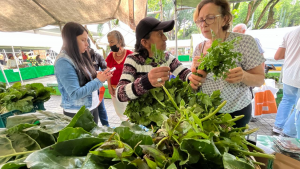 CGIAR Initiative NATURE+ unites circular economy entrepreneurs in Colombia