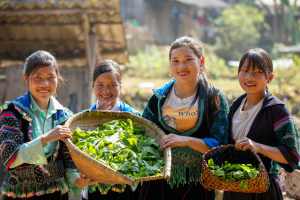 Transforming food systems must include Indigenous rights, voices and knowledge