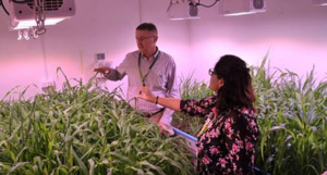 First public research facility to put agriculture on fast-forward launched at icrisat