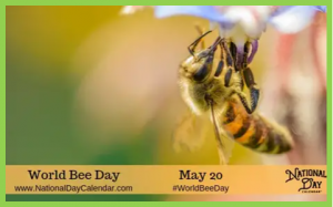 World bee day celebration