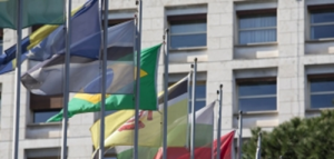 A dynamic new FAO for a better world