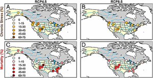 The impact of rising CO2 and acclimation on the response of US forests to global warming