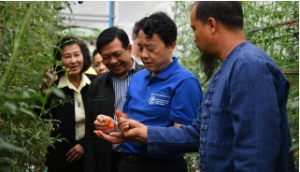 Agriculture must get `smarter` to end poverty and hunger