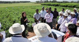Spotlight on crop diversity as icrisat`s genebank holds inaugural field day