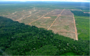 Post-COVID-19: we need a food systems approach to achieve zero-deforestation diets