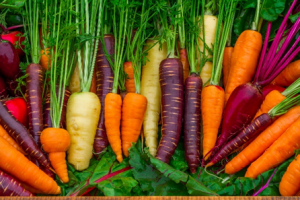 The influence of the Or and Carotene Hydroxylase genes on carotenoid accumulation in orange carrots [Daucus carota (L.)]