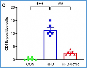 Red yeast rice ameliorates non-alcoholic fatty liver disease through inhibiting lipid synthesis and NF-&kappa;B/NLRP3 inflammasome-mediated hepatic inflammation in mice