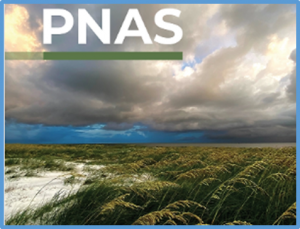 Complex agricultural landscapes host more biodiversity than simple ones: A global meta-analysis
