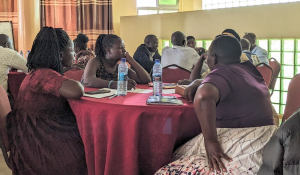 Co-design workshop on consumption traits to inform improved seed promotion